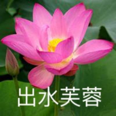 蜀山封神录手游果盘公益服下载